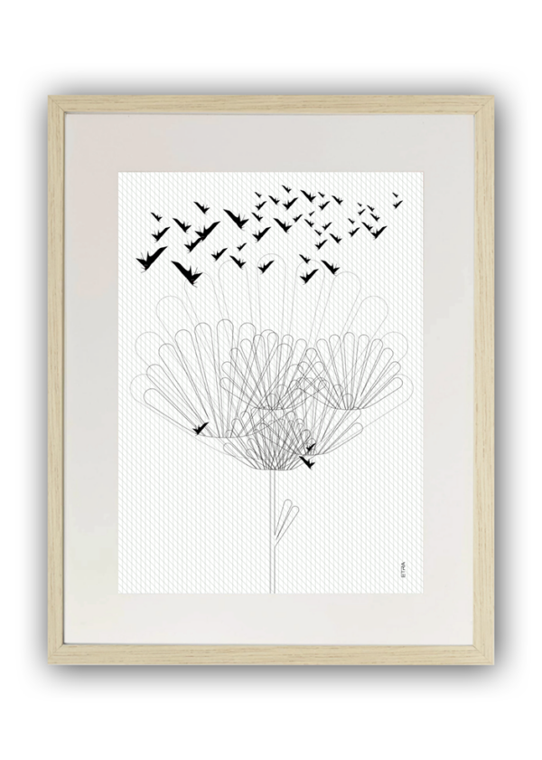 BNBIRDS - Imagen 7